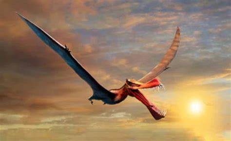 Largest-ever Australian Pterosaur Reconstructed In Amazing New Study | Ancient Origins