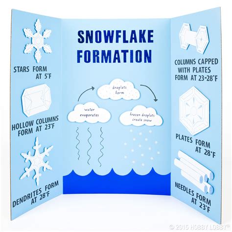 Down to a Science | Elementary school science projects, School science projects, Science fair