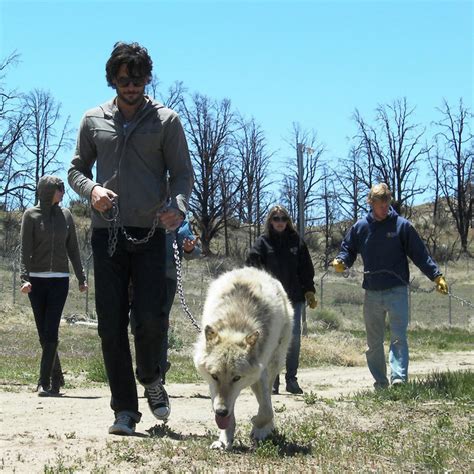 Joe Manganiello and his wolf on the True Blood set - True Blood Photo (12126731) - Fanpop