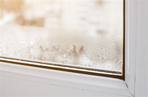 What to Do If You See Condensation Inside Double Pane Windows