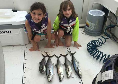 Upper Chesapeake Bay Fishing Report, August 2020 | FishTalk Magazine