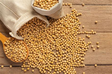 8 Surprising Soybean Protein Benefits for Women