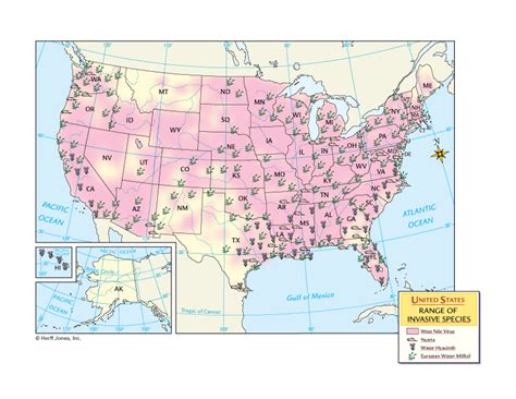 U.S. Invasive Species