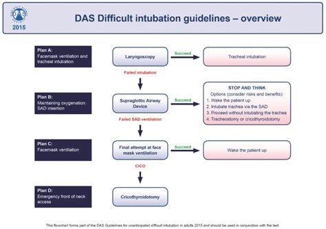 DAS; difficult airway algorithm – The Resus Room