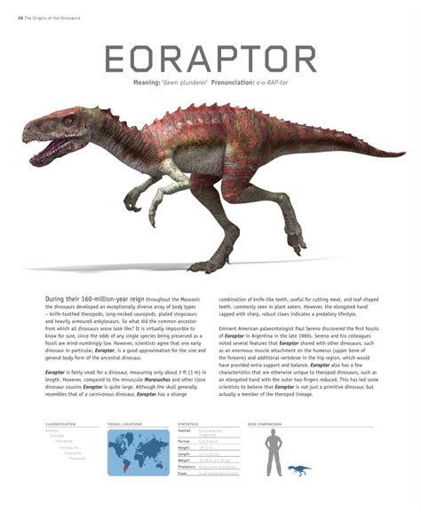 Argentinian Eoraptor | Prehistoric animals, Prehistoric creatures, Dinosaur facts