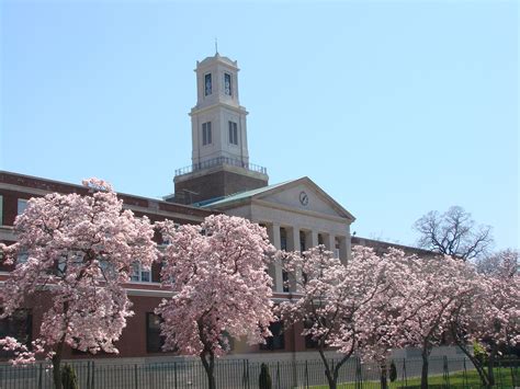 fort hamilton high school Bay ridge brooklyn - Google Images | Hamilton high school, Ferry ...