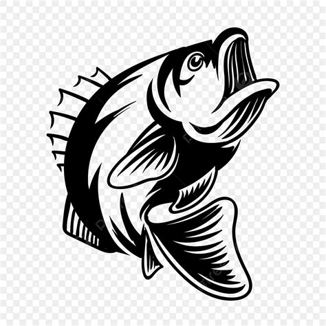 Bass Fishing Clipart PNG Images, Detailed Bass Fish Vector Illustration For Fishing, Fishing ...