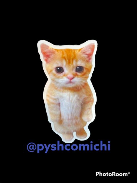 El Gato Meme Sticker - Etsy UK