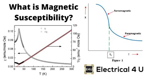 Magnetic Susceptibility | Electrical4U