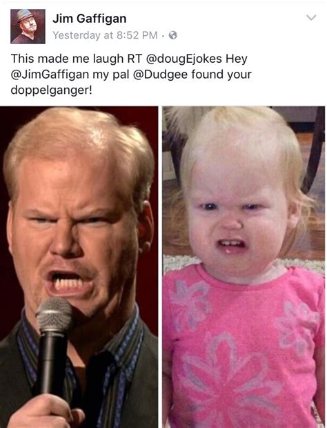 Cats Who Look Like Jim Gaffigan - CAT VRT