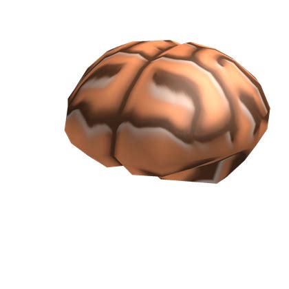 Brain | Roblox Wiki | Fandom