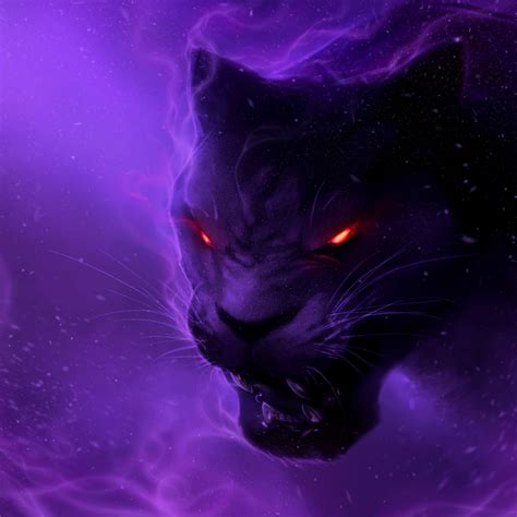 Cat Black Panther Wallpapers on WallpaperDog