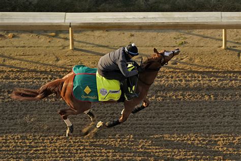 Horses In Kentucky Derby 2024 - Kimmy Therine