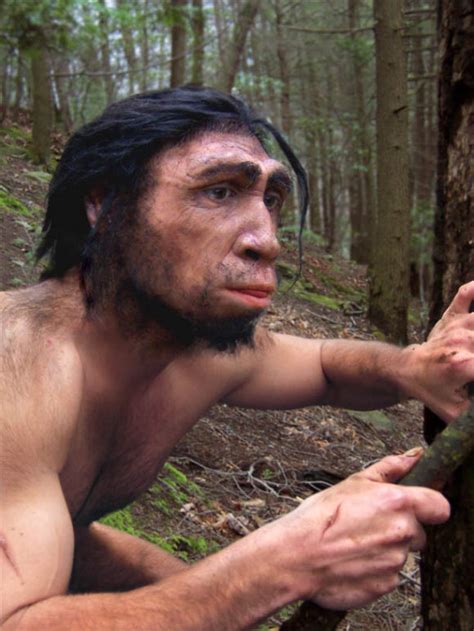 Homo erectus Had Stocky Body Shape | Anatomy, Paleoanthropology | Sci-News.com