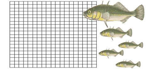 The Stickleback Fish - A Story of Modern Evolution