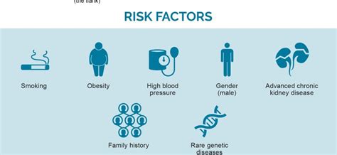 Kidney cancer – causes, symptoms, treatment – Healthy Food Near Me