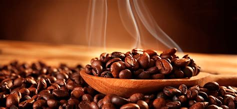 Best 11 Robusta Coffee Beans (special offer 2024) | coffeezoid.com