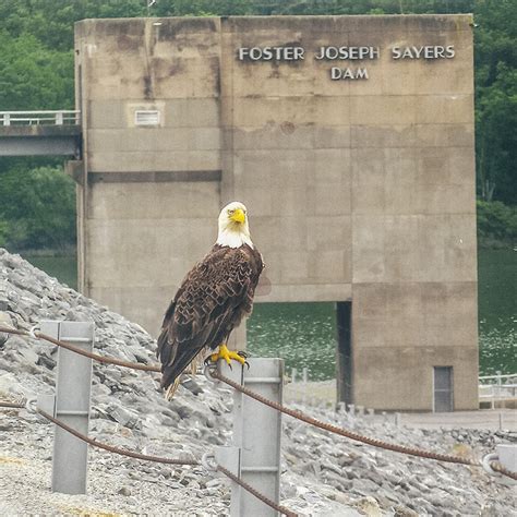 Why Pittsburghers Love Camping at Bald Eagle State Park