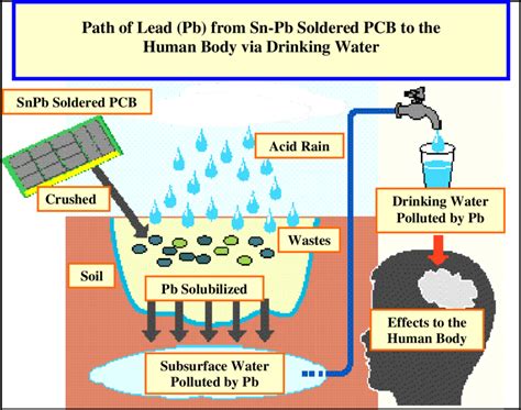 Shows lead's toxicity in (PCBs) effects on human health. Source: Napp... | Download Scientific ...