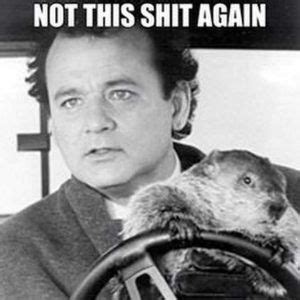 Bill Murray Groundhog Day Meme