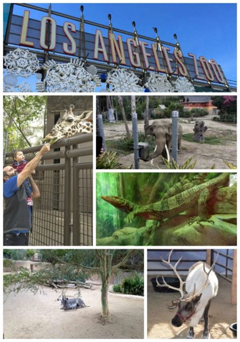 The Los Angeles Zoo Family Guide