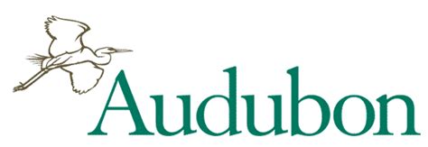 The National Audubon Society – Executive Search Client Story ...