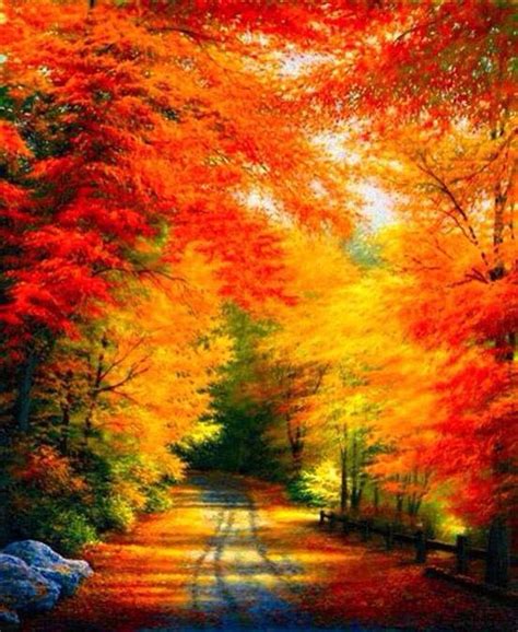 October Fall Pictures, Nature Pictures, Fall Pics, Amazing Nature, Beautiful Sunrise, Naturally ...