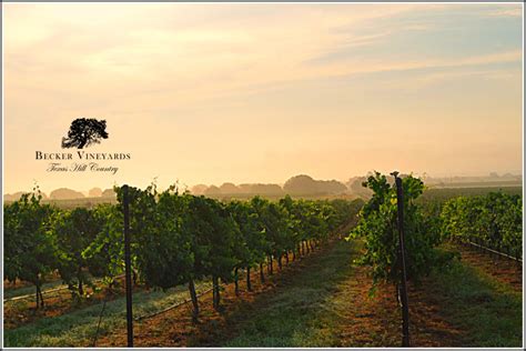 Becker Vineyards - Texas Winery - Buy Becker Vineyards Wines Direct ...