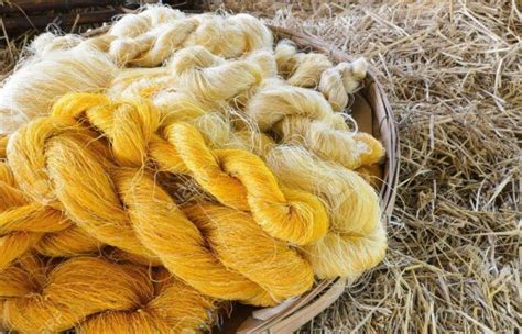 The Process of Silk Production in Vietnam - ECOSILKY