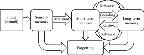 2 Atkinson and Shiffrin memory model. (From Atkinson, R. C. and ...