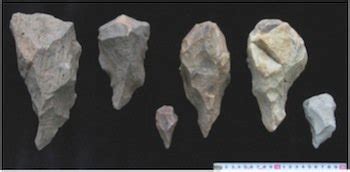 Homo Erectus Had Skillfully Designed Tools | Answers in Genesis