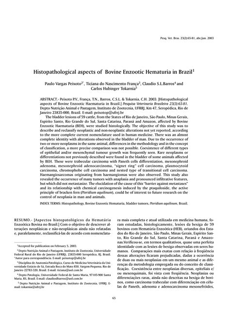 (PDF) Histopathological aspects of Bovine Enzootic Hematuria in Brazil