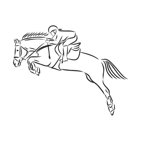 Premium Vector | Jumping horse,black white picture isolated on white background,vector illustration