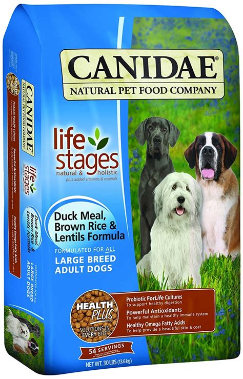 Best Low Protein Dog Food: Vet Approved for Kidney Disease Too!