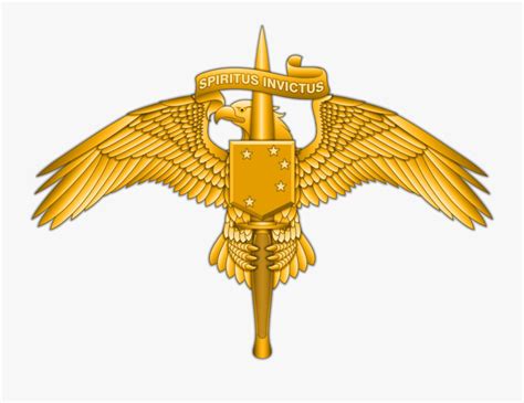 Marine Raider Insignia , Free Transparent Clipart - ClipartKey