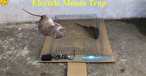 Wow Primitive Technology : Electric Mouse Trap/Best Trap Homemade Work ...