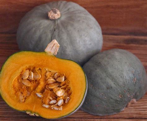 Harmony Valley Farm: Winter Squash 101- Everything you need to know!