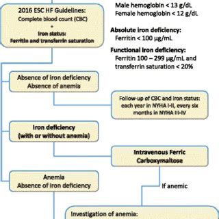 Treatment algorithm for iron deficiency in heart failure | Download ...