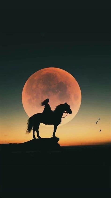 Majestic Horse Sunset | Horse wallpaper, Silhouette art, Moon art