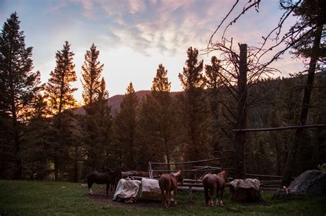 Montana sunset : r/pics