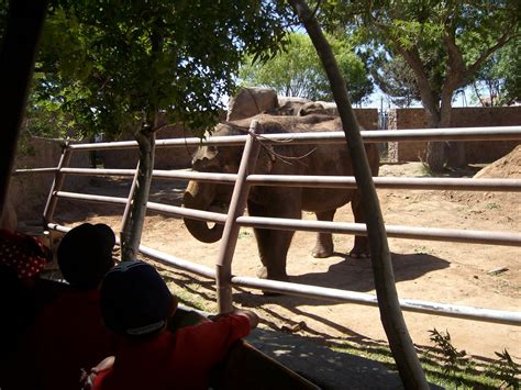 B.Shantyle: El Paso Zoo