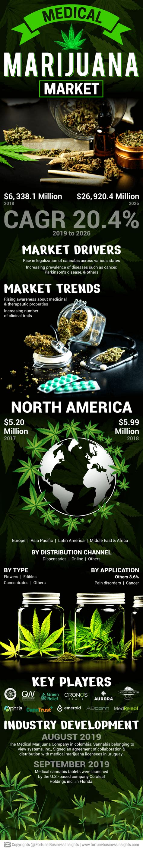 Infographics - Medical Marijuana Market