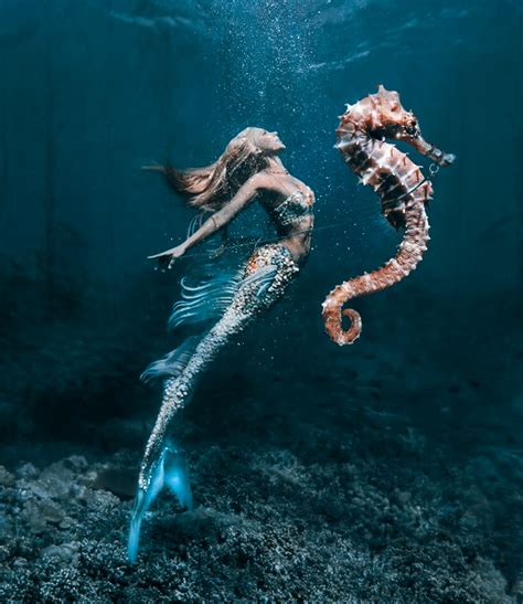 Mermaid's seahorse :: Behance