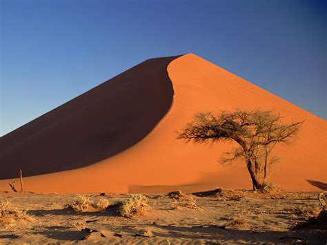 The Namib Desert