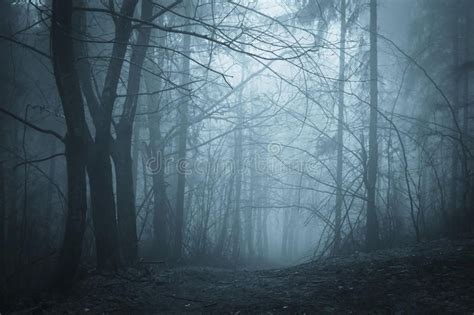 Blue fog in a dark forest with fog at night. Blue fog in a dark forest at night , #SPONSORED, # ...