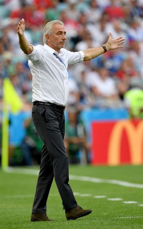 Bert van Marwijk takes charge of UAE