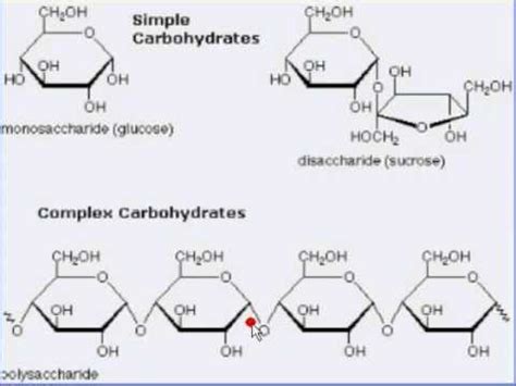 Simple and Complex Carbohydrates for your mtb ride - YouTube