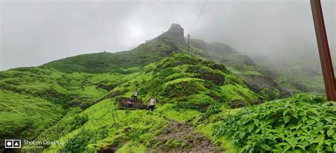 Rajgad Fort Pune - Information & Awesome Trekking Experience