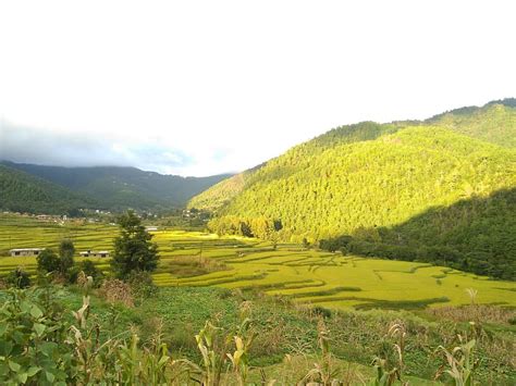 Chitlang | Organic Village in Nepal - Hiking Annapurna