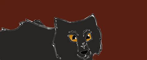 the black wolf with amber eyes by vitani425 on DeviantArt